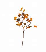 Image result for Tree with Leaves and Roots Outline