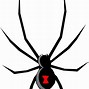 Image result for Spider Animal Cartoon