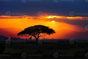 Image result for African Tree Silhouette Clip Art