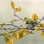 Image result for Silk Oil Painting of Birds in Tree