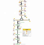 Image result for Glycolysis Reaction