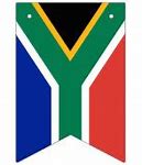 Image result for South African Flag Shirt