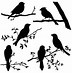 Image result for Bird Singing On Branch in Silhouette