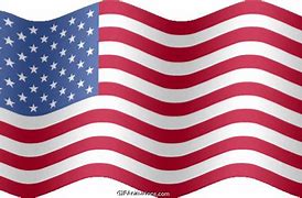 Image result for American Flag Emblem Backwards On Car