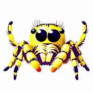 Image result for Jumping Spider Cartoon