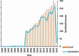 Image result for Constant Slope Graph