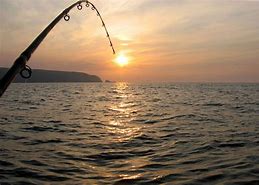 Image result for Aestetic Fishing Background