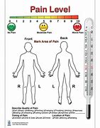 Image result for Human Body Diagram Outline Pain