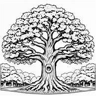 Image result for Oak Tree Coloring