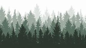 Image result for Aspen Tree Forest Silhouette