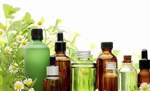 Image result for Best Essential Oils for Protection