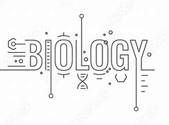 Image result for Biology Word Design