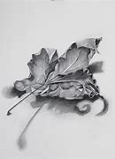 Image result for Maple Leaf Drawing Template