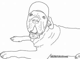 Image result for Happy Birthday Dog Coloring Pages