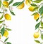 Image result for Lemon Border Clip Art