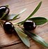 Image result for Desktop Wallpaper 4K Olive Branch