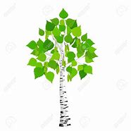 Image result for Curved Birch Tree Clip Art