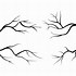 Image result for Tree Branch Pencil Drawing