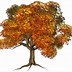 Image result for Clip Art Autumn Tree Painting