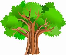 Image result for Pen and Ink Tree Drawings