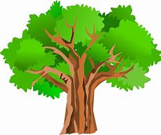 Image result for Tree Overlay for Presintation