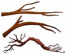 Image result for Vector Tree Branch Coloring