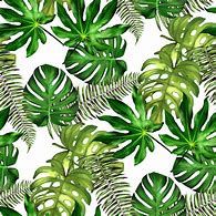 Image result for Tropical Leaf Design