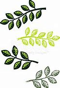 Image result for Leag Branch Vector