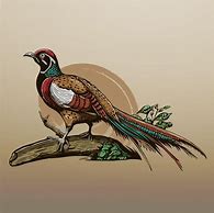 Image result for Red Bird and Tree Branch Illustration