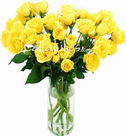 Image result for Yellow Spray Roses