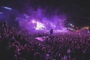 Image result for Music Festival Decorations