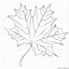 Image result for Leaf Design Drawing