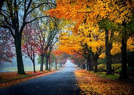 Image result for Large Fall Pictures