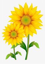 Image result for Sunflower Leaves Clip Art