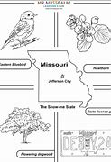 Image result for Missouri State Bird Coloring Page