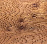 Image result for Elm Wood Grain