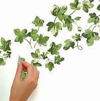 Image result for Ivy Wall Decals