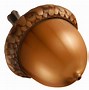 Image result for Acorn Tree Clip Art