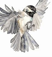 Image result for Birds in Flight Art