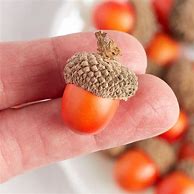 Image result for Bowl of Acorns