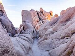 Image result for Joshua Tree National Park Souvenirs