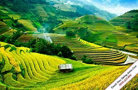 Image result for Miền Núi