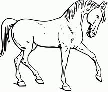 Image result for Cute Horse Coloring Pages