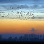 Image result for Sunrise Sunset Drawing