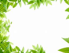 Image result for Green Leaf Border Design