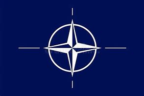 Image result for 101st NATO Symbol