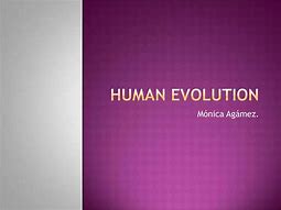 Image result for Human Evolution Books