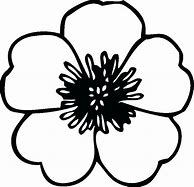 Image result for Poppies Colouring In