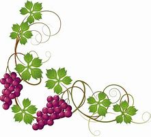 Image result for Grape Vine Leaves Clip Art