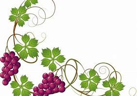 Image result for Grape Leaf Clip Art